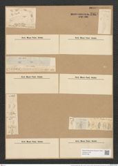 Encyonema prostratum (Berk.) Ralfs. (de-Toni-Nr.: Genus 34, Species 1489) Zeichnungen Sammlung Grunow Nr. 2862 (NHMW-BOT-W0370186)